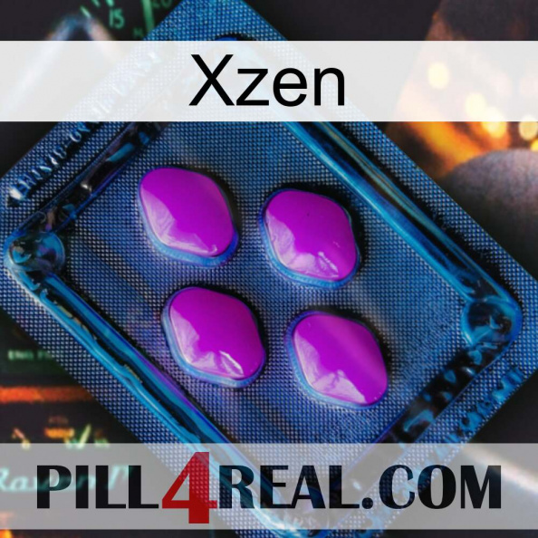 Xzen 04.jpg